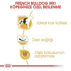 Royal Canin French Bulldog Yetişkin Köpek Maması 3 Kg - Thumbnail