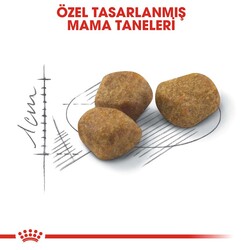 Royal Canin İndoor +7 Yaşlı Kuru Kedi Maması 1.5 Kg - Thumbnail