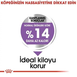 Royal Canin Mini Küçük Irk Kısırlaştırılmış Köpek Maması 3Kg - Thumbnail