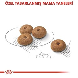 Royal Canin Mini Küçük Irk Kısırlaştırılmış Köpek Maması 3Kg - Thumbnail