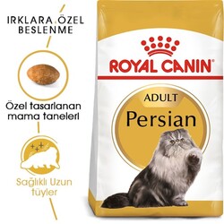 Royal Canin Persian Adult İran Kedilerine Özel Mama 10 Kg - Thumbnail