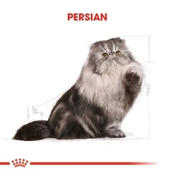 Royal Canin Persian Adult İran Kedilerine Özel Mama 10 Kg - Thumbnail