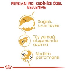 Royal Canin Persian Adult İran Kedilerine Özel Mama 10 Kg - Thumbnail