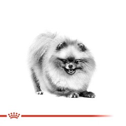 Royal Canin Pomeranian Yetişkin Köpek Maması 3Kg - Thumbnail