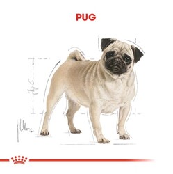 Royal Canin Pug 25 Pug Irkı Özel Maması 1,5 Kg - Thumbnail