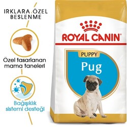 Royal Canin Pug 25 Pug Junior Yavru Köpek Maması 1,5 Kg - Thumbnail