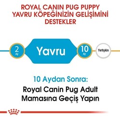 Royal Canin Pug 25 Pug Junior Yavru Köpek Maması 1,5 Kg - Thumbnail