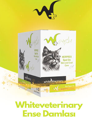 WhiteVeterinay - WhiteVeterinay Kedi Ense Damlası Bit Ve Pire 0-10 Kg 1ml 10 Adet